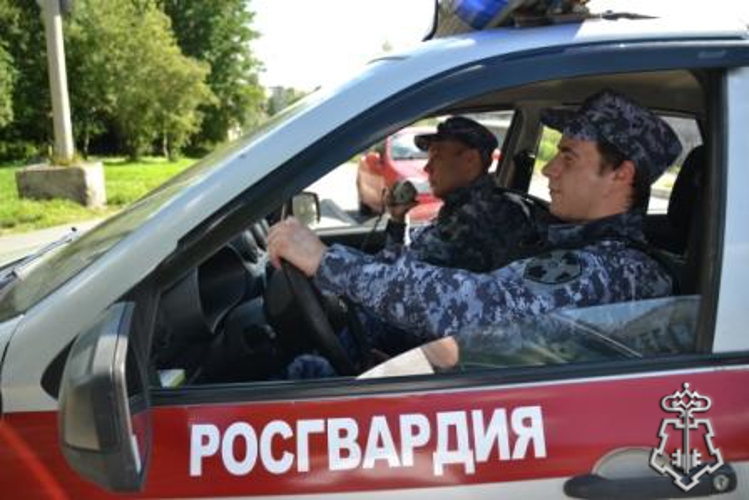 В Мурманской области планируется установить дополнительные выплаты сотрудникам Росгвардии