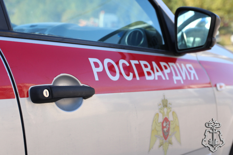 СОТРУДНИКИ ВНЕВЕДОМСТВЕННОЙ ОХРАНЫ РОСГВАРДИИ ПРЕСЕКЛИ ХИЩЕНИЕ ТОВАРОВ НА КРУПНУЮ СУММУ В МУРМАНСКОМ ГИПЕРМАРКЕТЕ