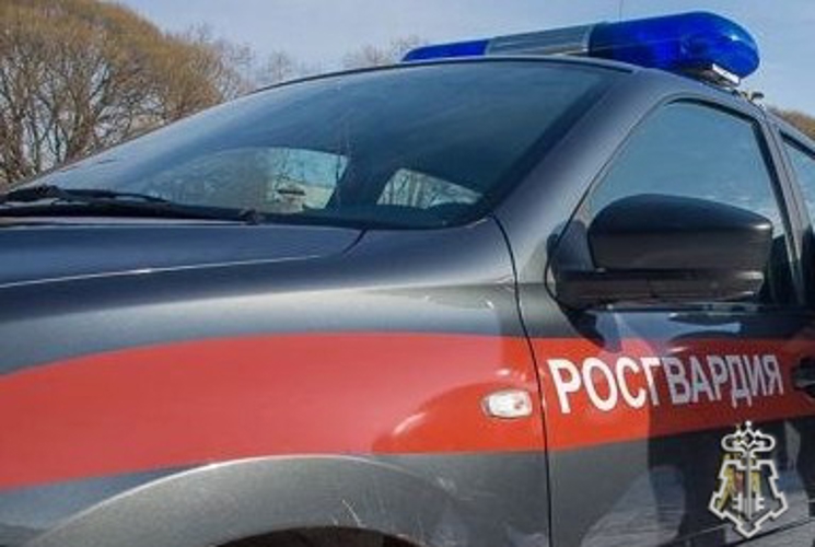 Мурманские росгвардейцы пресекли грубое нарушение Правил дорожного движения 