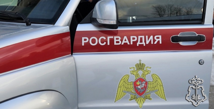 МУРМАНСКИЕ РОСГВАРДЕЙЦЫ ЗАДЕРЖАЛИ МУЖЧИНУ, СОВЕРШИВШЕГО ХИЩЕНИЕ ИЗ ГИПЕРМАРКЕТА НА КРУПНУЮ СУММУ