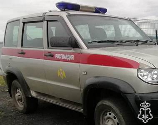 В Мурманске росгвардейцы задержали мужчину, отказавшегося оплачивать счет в диско-ресторане