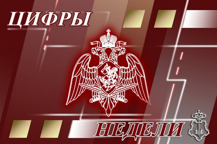 Результаты деятельности подразделений вневедомственной охраны и лицензионно-разрешительной работы Росгвардии за прошедшую неделю