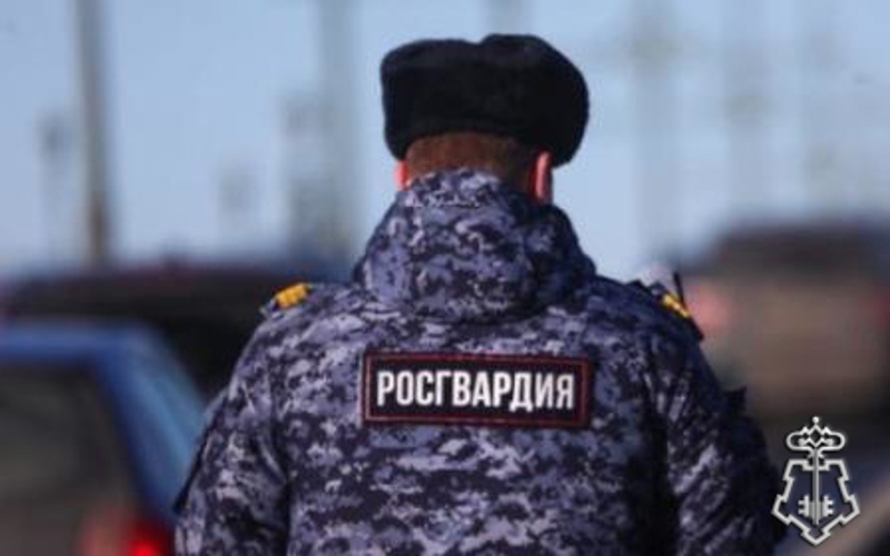 СОТРУДНИКИ ВНЕВЕДОМСТВЕННОЙ ОХРАНЫ РОСГВАРДИИ ЗАДЕРЖАЛИ МОЛОДОГО ЧЕЛОВЕКА, СОВЕРШИВШЕГО ХИЩЕНИЕ ПРОДУКТОВ ПИТАНИЯ