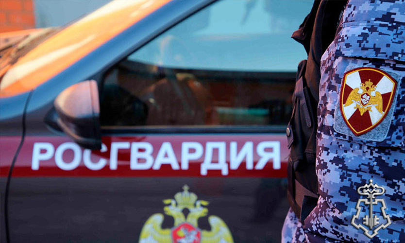 В ЗАПОЛЯРНОМ РОСГВАРДЕЙЦЫ ЗАДЕРЖАЛИ ВОДИТЕЛЯ, УПРАВЛЯВШЕГО АВТОМОБИЛЕМ БЕЗ ВОДИТЕТЕЛЬСКИХ ПРАВ И ДОКУМЕНТОВ