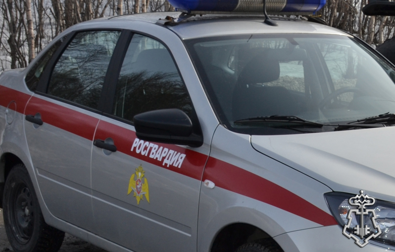 СОТРУДНИКИ ВНЕВЕДОМСТВЕННОЙ ОХРАНЫ РОСГВАРДИИ ЗАДЕРЖАЛИ ЖЕНЩИНУ, УСТРОИВШУЮ СКАНДАЛ В БАРЕ 