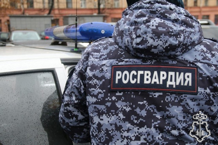 В одном из ресторанов Мурманска росгвардейцы задержали агрессивную посетительницу