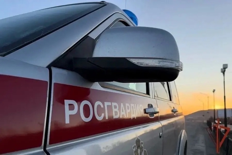 Кандалакшcкие сотрудники Росгвардии задержали мужчину, разбившего витрину в магазине-баре